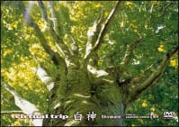 ｖｉｒｔｕａｌ　ｔｒｉｐ　白神
