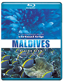 ｖｉｒｔｕａｌ　ｔｒｉｐ　ＭＡＬＤＩＶＥＳ　Ｄｉｖｉｎｇ　Ｖｉｅｗ