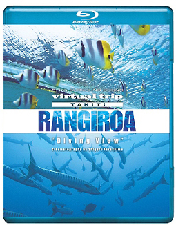 ｖｉｒｔｕａｌ　ｔｒｉｐ　ＴＡＨＩＴＩ　ＲＡＮＧＩＲＯＡ　Ｄｉｖｉｎｇ　Ｖｉｅｗ