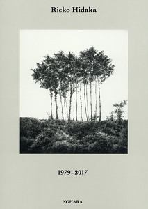 日高理恵子作品集　１９７９－２０１７