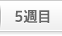 第5週
